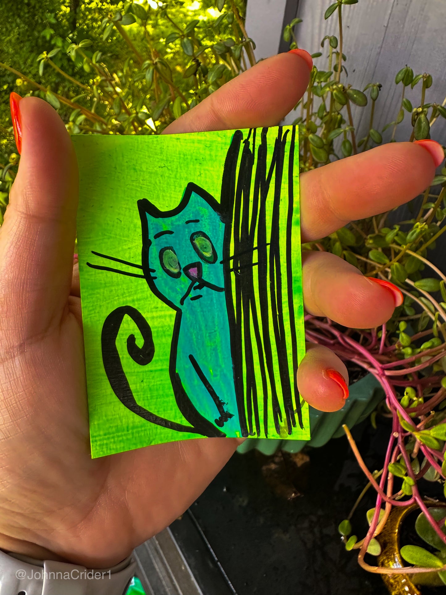 Bamboo Ninja ACEO