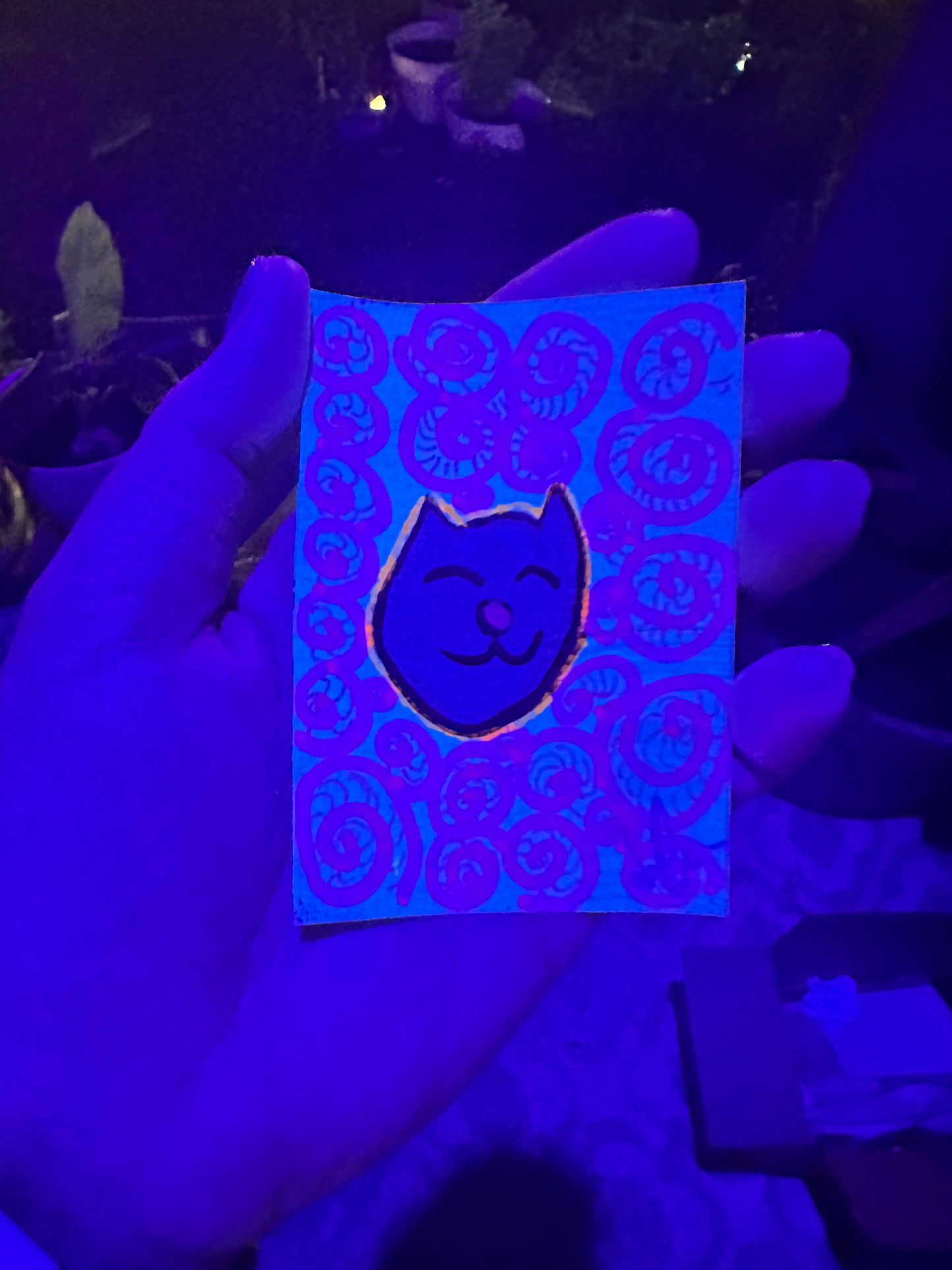 Swirls Cat Head - ACEO