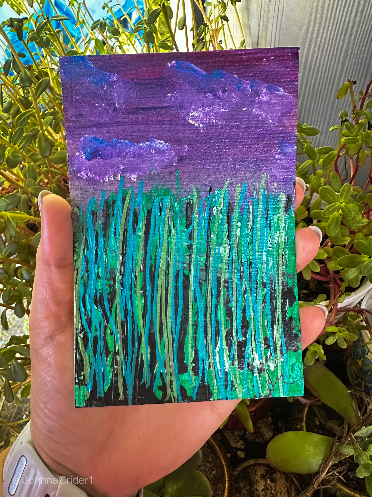 Grasslands