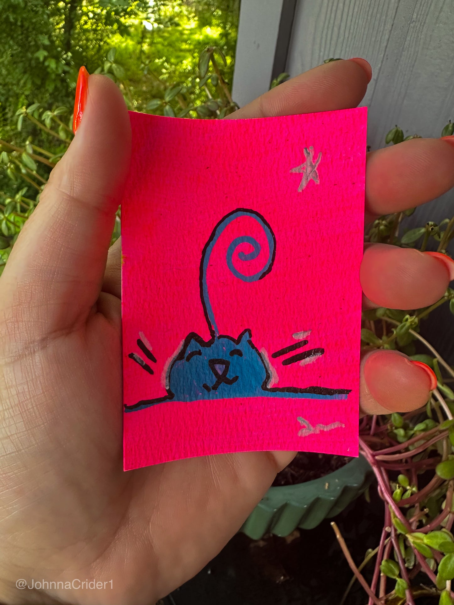 Starry Dreamer ACEO